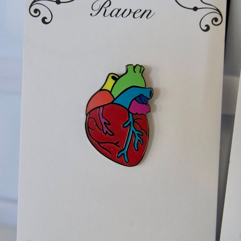 Gay Pride Rainbow Anatomical Heart Enamel Pin image 6