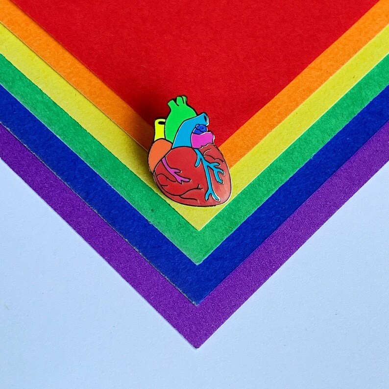 Gay Pride Rainbow Anatomical Heart Enamel Pin image 1