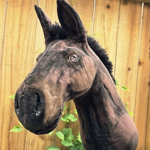 Jarpol Hobby Horse - Etsy