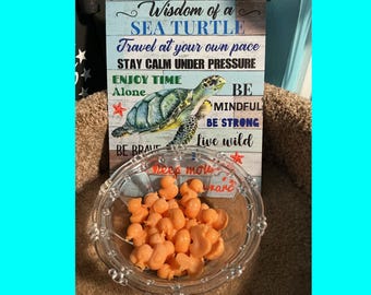 ShineWithSmiles Wax Melts! (Small version)