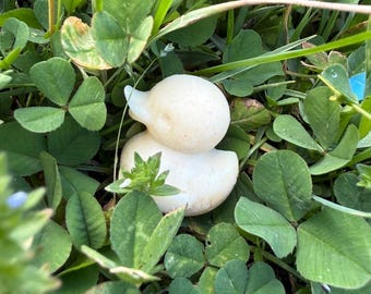 ShineWithSmiles Wax Melts! (Small version)