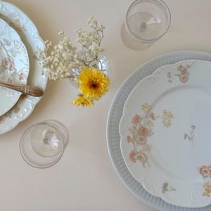 Haviland & Co. Limoges Dinner Plates Set of 4 | Schleiger 237 Floral Pattern | French Porcelain China | More Pieces Available