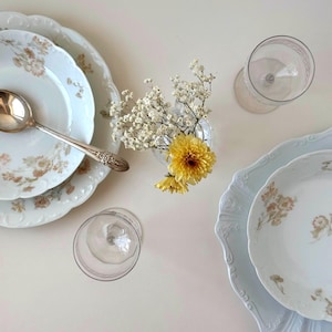 Haviland & Co. Limoges Coupé Suppenschüsseln 4er Set | Schleiger 237 Blumenmuster | Französisches Porzellan China | Mehr Stück Verfügbar