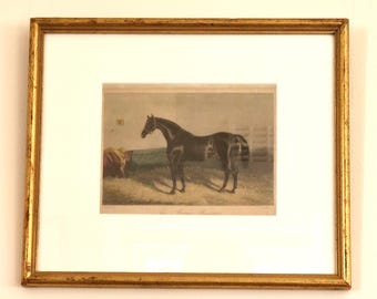 Framed Equestrian Horse Print The Prime Minister E Corbet E Hacker Vintage Sporting Art Stable Horse Picture