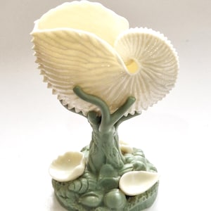 May include: A cream-colored nautilus shell vessel supported by a sage green base sculpted to resemble a tree trunk and coral reef. The base features small white shell accents and textured details, providing a stable foundation for the large shell.