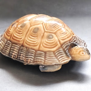 Pode incluir: Uma estatueta de tartaruga em cerâmica com um casco brilhante castanho-claro, apresentando padrões intrincados de anéis concêntricos em tons mais escuros. A tartaruga tem uma cabeça e patas lisas em tom creme, com escamas detalhadas e texturizadas.