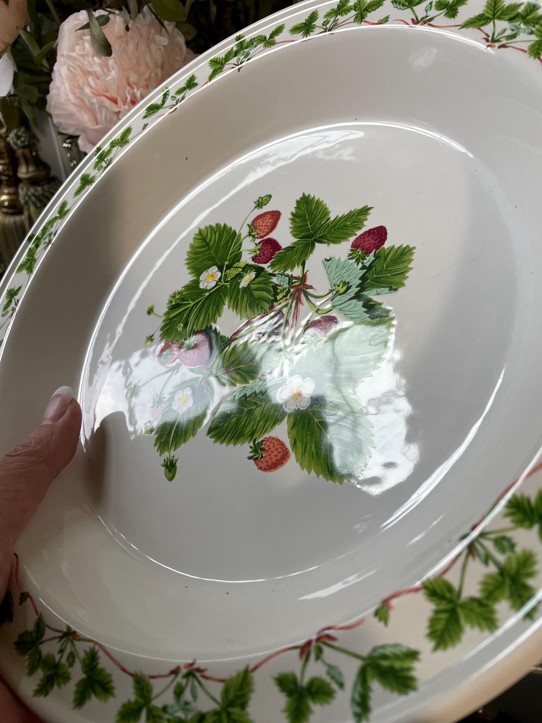 Vintage Portmeirion Pomona Botanic Garden Ceramic Fruit Dinner and Vintage Portmeirion Pomona Botanic Garden Ceramic Fruit Dinner and