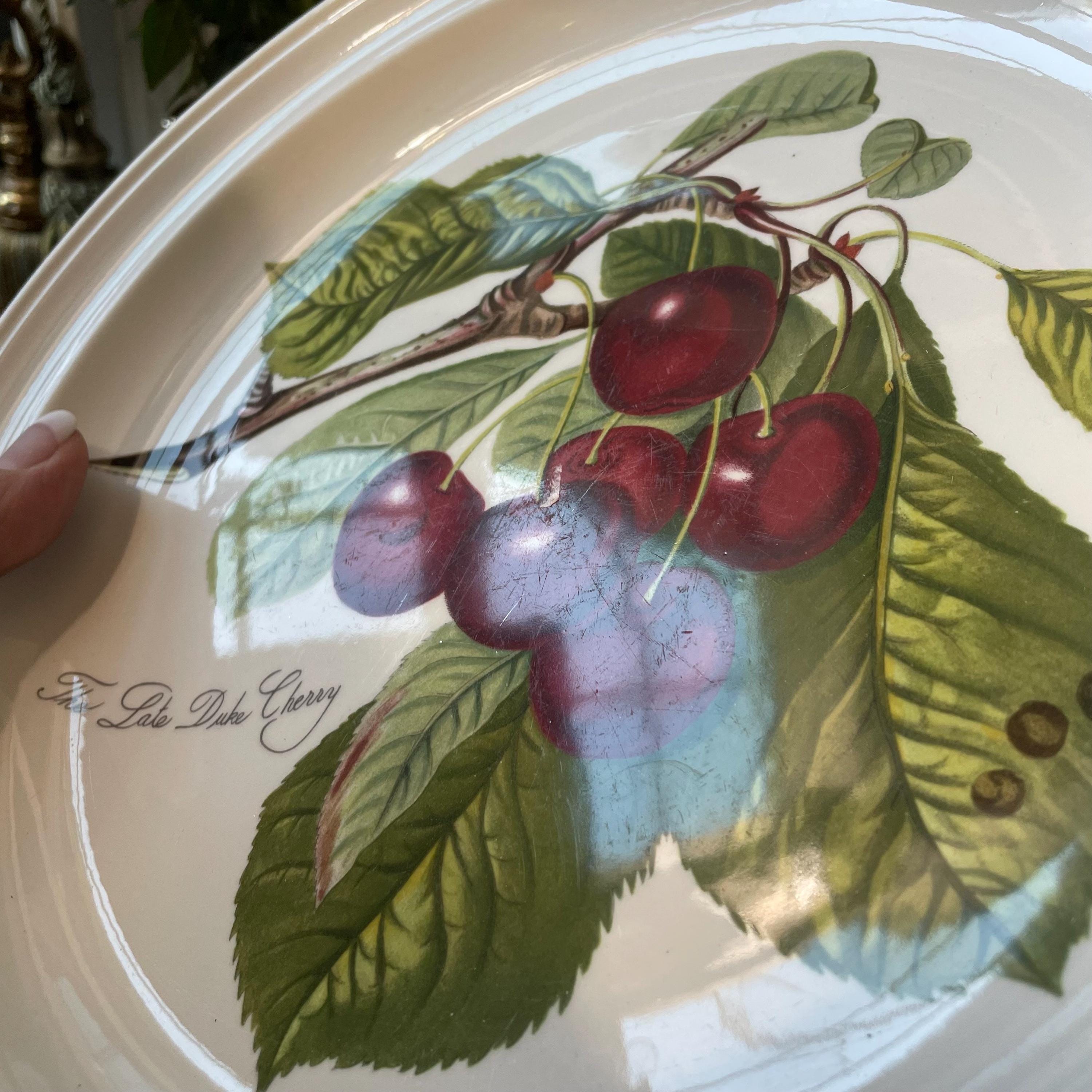 Vintage Portmeirion Pomona Botanic Garden Ceramic Fruit Dinner and