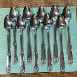 Washington Forge WF RAINIER Kolonialschale Teelöffel Edelstahl-Besteckset 10