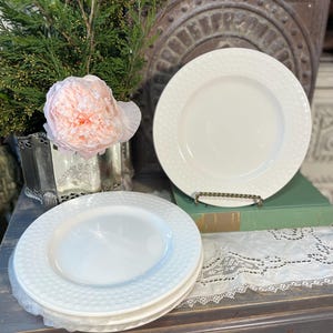 May include: A stack of white ceramic plates with a dotted border. One plate is displayed on a brass stand. A pink flower and greenery are in a silver vase. The plates are on a wooden surface.