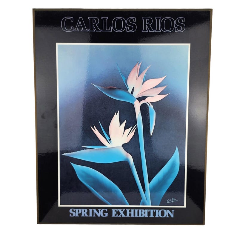 Carlos Rios Spring Carlos Rios Spring Exhibition Bird of Paradise Flowers House Plant on ...