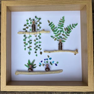 Sea Glass Art Garden: UK Beach Found Glass, Driftwood Shelves (10x10 inch)