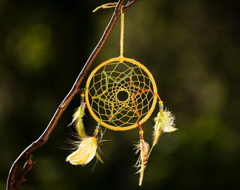 May include: A yellow dreamcatcher with a star-shaped center hangs from a branch. The dreamcatcher has colorful beads and feathers.