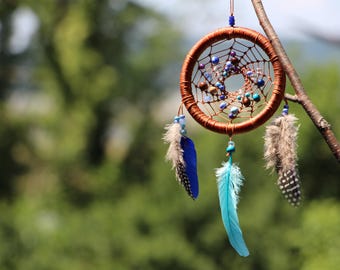 May include: A brown dreamcatcher with a woven web, adorned with blue, purple, and brown beads. It features hanging feathers in blue, turquoise, and speckled patterns, suspended from a branch against a blurred green background.