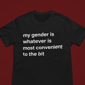 May include: A black short-sleeved t-shirt featuring white text printed on the front that reads: my gender is whatever is most convenient to the bit. The shirt has a crew neckline and a standard fit, presented against a solid dark red background.