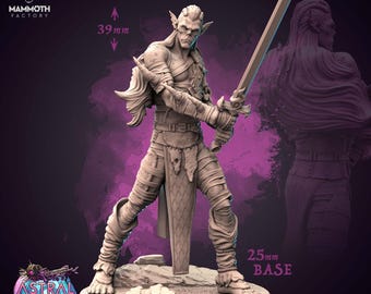 Gyth Corsair DND Mini Dungeons and Dragons Gyth Fighter Miniature