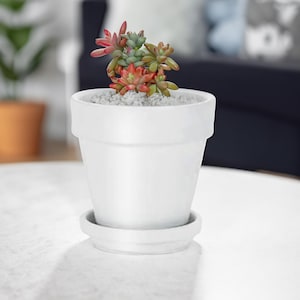 4&quot; 6 Pack Terracotta Plant Pots with Saucer, Indoor Wall Planter, Cute Planter, Flower Pots, Seedling Pots, Mini Pots with Saucer