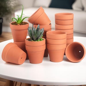 20 Pack 3.15&quot; Terracotta Pots, Plant Pot With Drainage, Indoor Wall Planter, Mini Plant Pots, Clay Pots, Bulk Terracotta Pots
