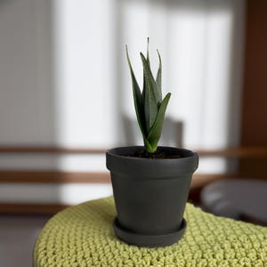 Black 4 Pack Terracotta Pots 6&quot;,  House Plant Pot, Bulk Terracotta Pots, Succulent Pot, Terracotta Pots With Saucer, Indoor Wall Planter