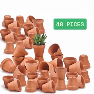 48 Pcs 2&quot; Terracotta Pots Small Planter, Plant Pot With Drainage, Cactus Pot, Unique Planter, House Plant Pot Indoor Planters, Succulent Pot