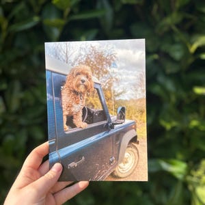 Landschaftskarte - Cavapoo Crusing