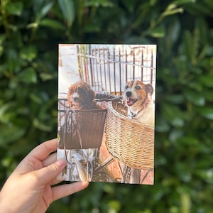 Tarjeta de campo - Amigos de la cesta