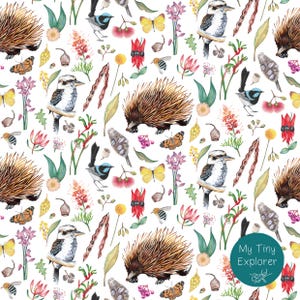 May include: A seamless pattern featuring watercolor illustrations of Australian wildlife and flora. The pattern includes echidnas, kookaburras, butterflies, wattle flowers, and gum leaves. The text "My Tiny Explorer" is in the bottom right corner.