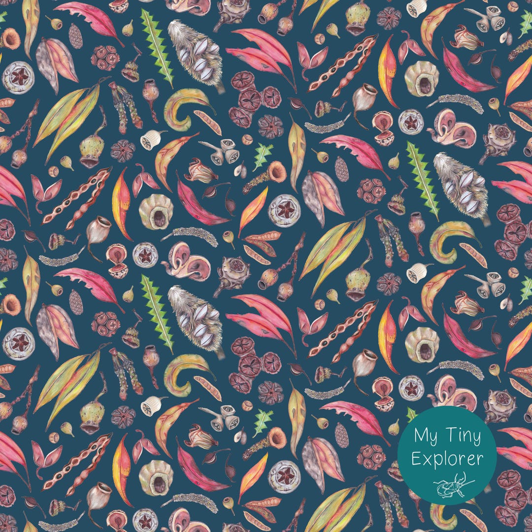 Native Seedling Pattern Australian Seed Pods Seamless Pattern: Hand Drawn Native Flora (digital ...