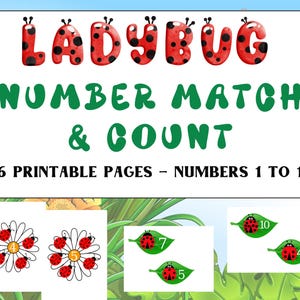 Ladybug Match and Count – 16 Printable Pages – Numbers 1 to 10 – Preschool Math Activity