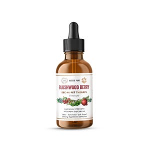 May include: A brown glass bottle with a dropper top, labeled "Blushwood Berry EBC-46 Pet Therapy Tincture". The label also includes the text "Maximum Strength Hylandia Dockrillii Raw Sun Dried Lab Tested Dietary Supplement 120ml/4oz".