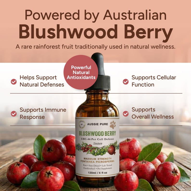Pet Cell Defender Blushwood Berry EBC-46 Pet Cell Defense Tincture - Etsy