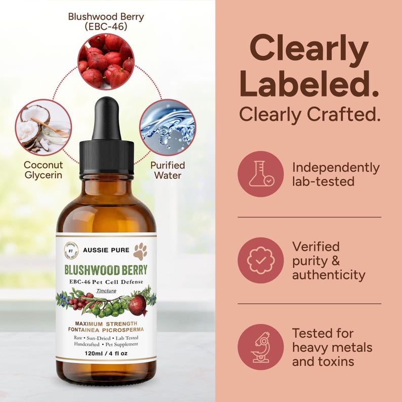 Pet Cell Defender Blushwood Berry EBC-46 Pet Cell Defense Tincture - Etsy