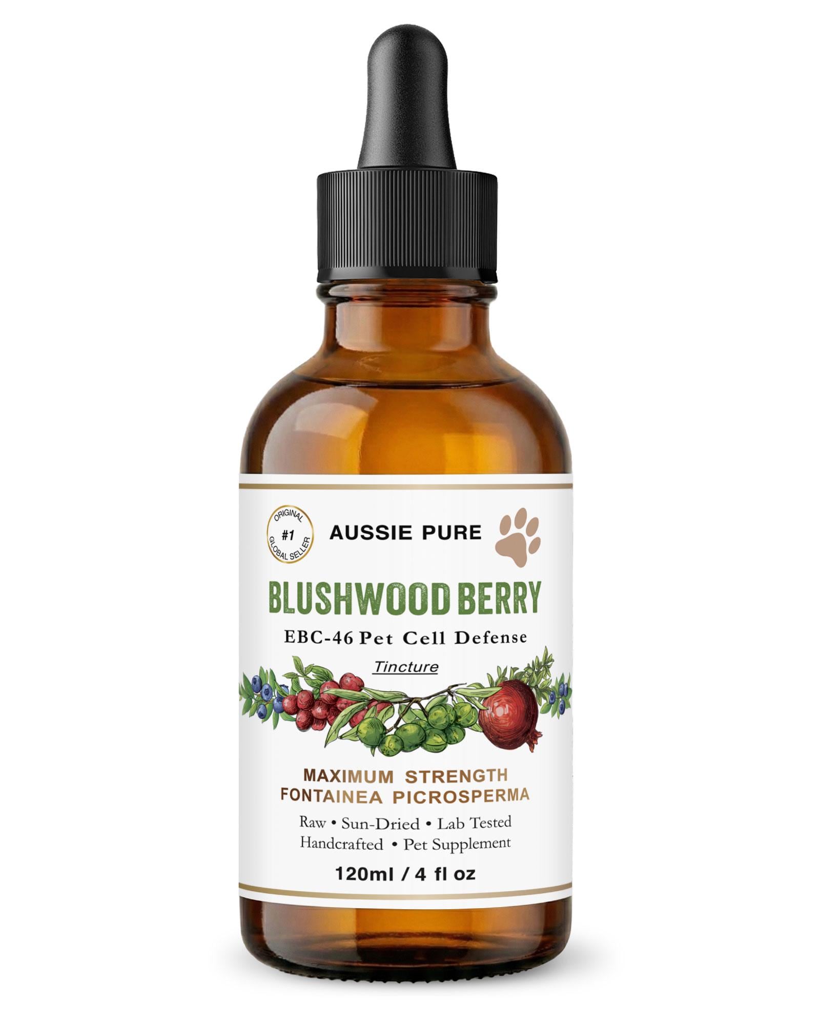 Blushwood Berry EBC-46 Pet Cell Defense Tincture
