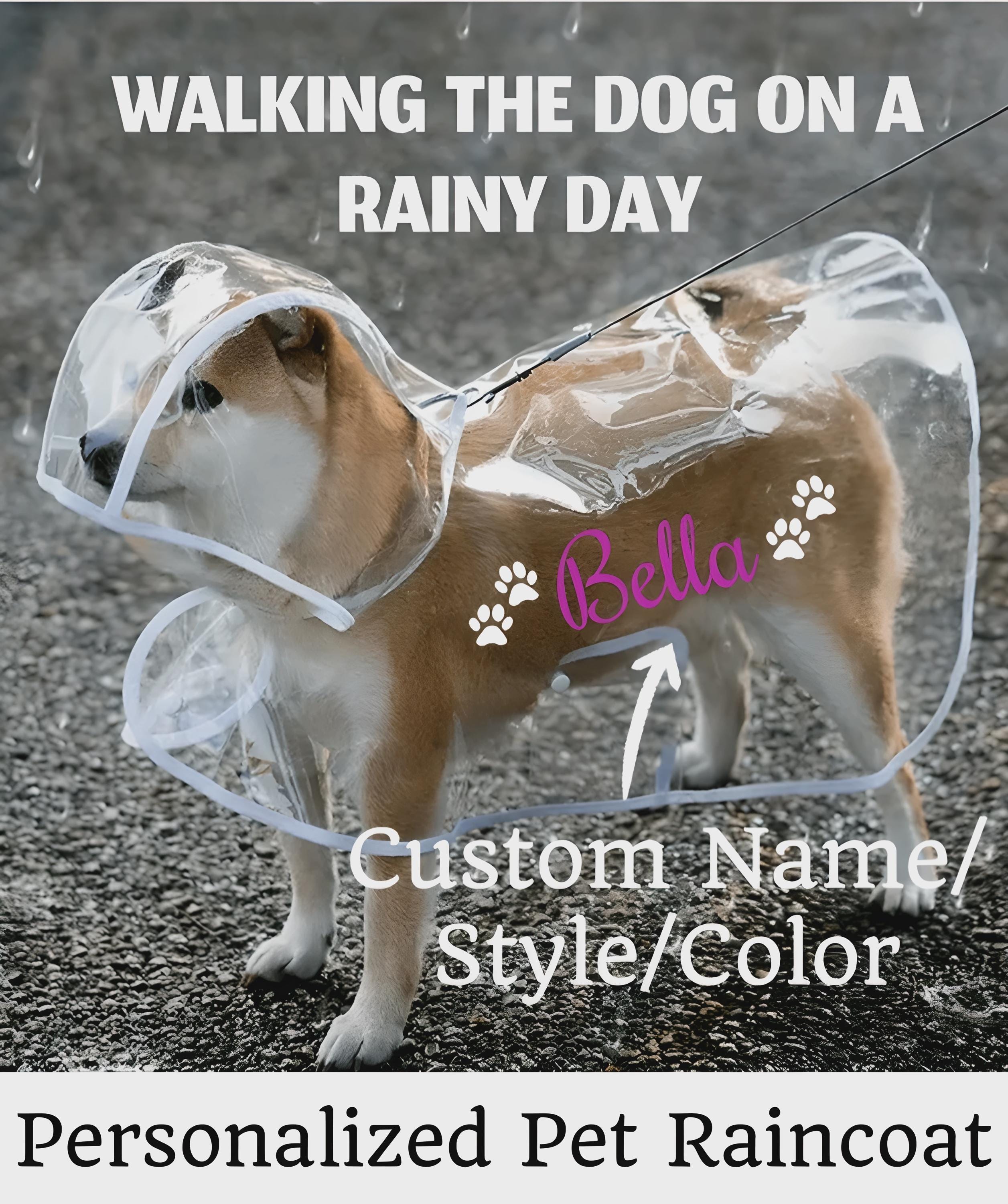 Dog rain boots Österreich