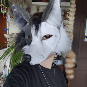 May include: A gray and white wolf-style fursuit head with black accents. The mask features large, upright ears, a black nose, and visible eye openings. A small, striped tail is attached. The person is wearing a black shirt and a silver necklace.