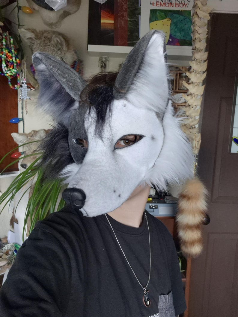 May include: A gray and white wolf-style fursuit head with black accents. The mask features large, upright ears, a black nose, and visible eye openings. A small, striped tail is attached. The person is wearing a black shirt and a silver necklace.