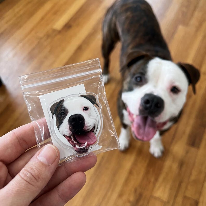 May include: A clear plastic bag containing a custom acrylic pin featuring a photographic print of a brindle and white dog with its mouth open in a happy expression, matching the appearance of the dog standing in the background.