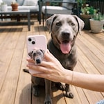 Phone Accessories