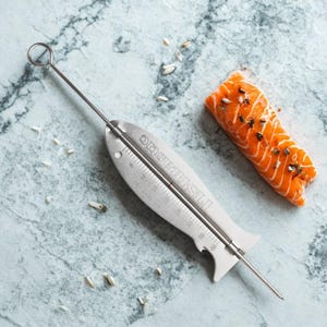 May include: A stainless steel fish-shaped food thermometer with the word "FISHtastic" printed on it, next to a piece of raw salmon. The thermometer has a long probe and a temperature gauge. The salmon is orange and has dark seeds on top.