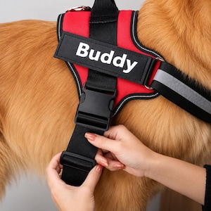 Peut inclure: Un harnais pour chien rouge et noir avec un écusson rectangulaire portant l'inscription blanche Buddy. Le harnais comprend des sangles en nylon noir, une boucle en plastique, un anneau en D en métal et une bordure réfléchissante argentée.