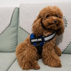 Custom Reflective Dog Harness, No Pull Personalized Vest with Name Patch, Adjustable Breathable Pet Harness