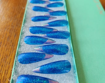 Edge of Winter Press on acrylic Reusable nails