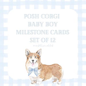 Jeu de cartes imprimables Milestone Posh Corgi, bébé garçon, 5 x 5