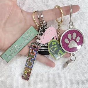 May include: A collection of keychains with various designs and colors. One keychain has the text "WOULD YOU KISS ME A LITTLE MORE ?" Another features the word "CHICAGH". Other keychains include a pink pig, a green ghost, and a paw print.