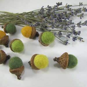 Felted Acorns, Wool Acorns Ornaments, Green Handmade Acorns, Fall Table Decor, Cottage Home, Waldorf Thanksgiving, Woodland Wedding Favors image 4