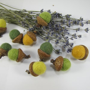 Felted Acorns, Wool Acorns Ornaments, Green Handmade Acorns, Fall Table Decor, Cottage Home, Waldorf Thanksgiving, Woodland Wedding Favors image 1