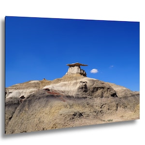 Bisti Wilderness Nouveau-Mexique : aile de géant