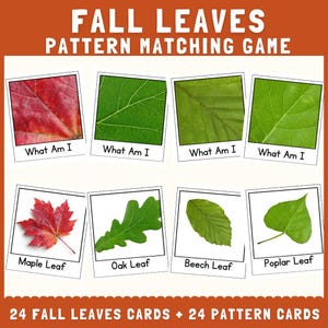 Puede incluir: Un juego de emparejamiento de patrones de hojas de otoño con ocho tarjetas cuadradas. La fila superior muestra cuatro texturas de hojas en primer plano con el texto What Am I. La fila inferior muestra cuatro hojas etiquetadas con sus nombres.