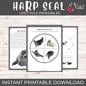 May include: Educational printables showing the life cycle of a harp seal. The design includes illustrations of the seal at different stages, with the text "Harp Seal Life Cycle" and "Instant Printable Download".