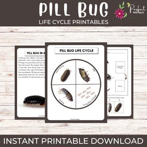 May include: Printable educational materials featuring the life cycle of a pill bug, also known as a roly-poly. The design includes a circular diagram showing the stages of the bug's life. The text "PILL BUG LIFE CYCLE" is displayed prominently.